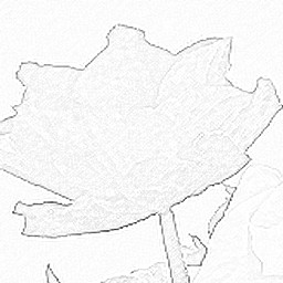 Pencil Sketch 017